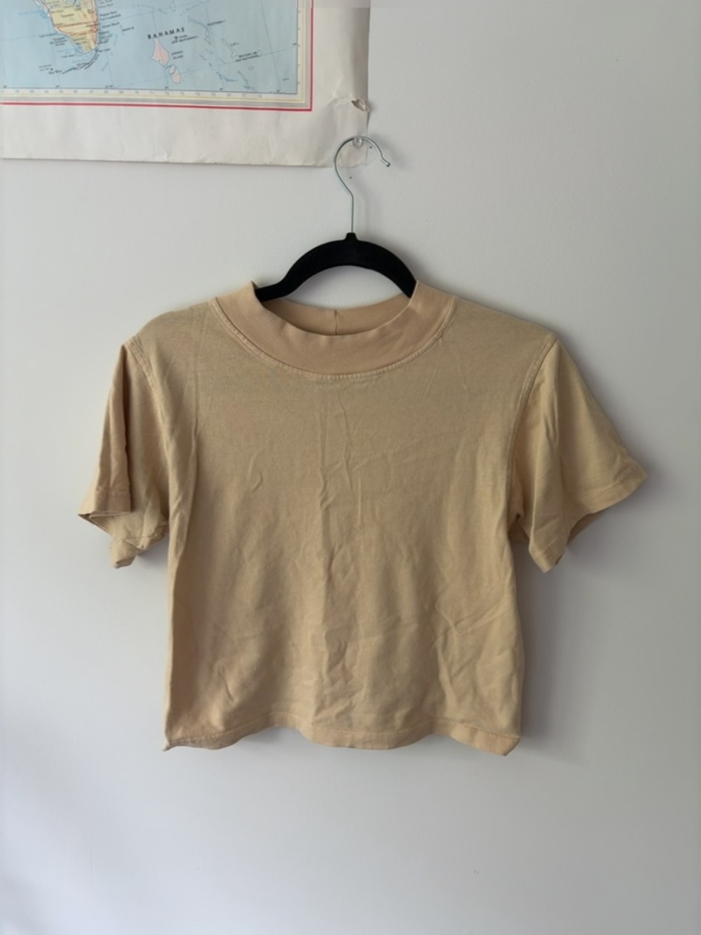 Neutral Beige Earth Tone Cropped Tee